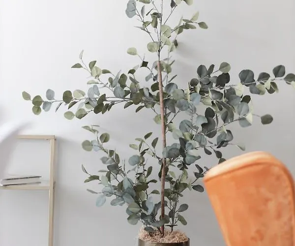 Apartament Paradise Near The Sea Pescara